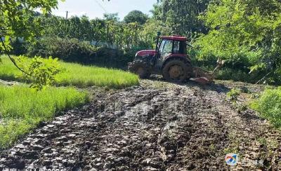 复耕撂荒地 播种“希望田”