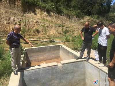 桂花镇：多措并举抗旱保民生
