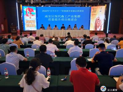 咸安区质量强区工作暨现代森工产业集群质量提升项目推进会召开