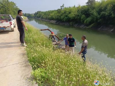 横沟桥镇：多管齐下抗旱保丰收
