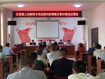 区委第二巡察组向甘棠村反馈巡察情况
