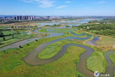 【大美咸安】大洲湖湿地公园