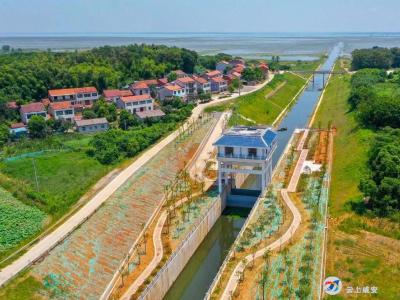 官埠桥镇：凝聚乡贤统战新力量 共绘乡村振兴新蓝图