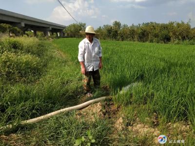 下基层察民情解民忧暖民心| 向阳湖镇全力以赴抗旱保种