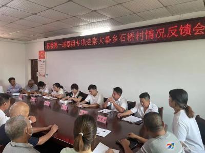 区委第一巡察组专项巡察大幕乡石桥村情况反馈会召开