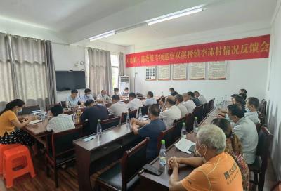 区委第一巡察组向双溪桥镇李沛村反馈巡察情况