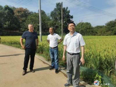 区政协：抗旱一线解民忧