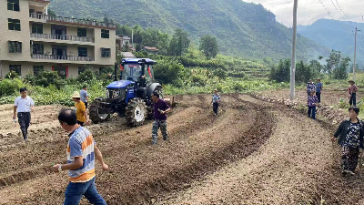 大幕乡：打好旱年保收“翻身仗” 全面推进秋冬播生产