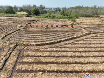 （长江云）向阳湖镇：油菜育苗正当时