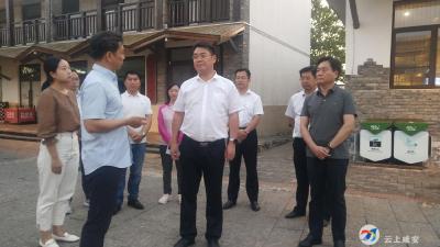张世伟到咸安调研时强调 ：全力抓好乡村振兴抗旱减灾工作 