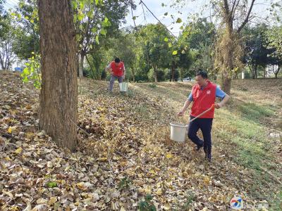 官埠桥镇：洁城迎中秋，共同缔造美好环境和幸福生活 