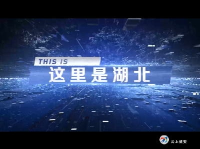 这里是湖北| 坚持稳中求进，统筹发展和安全