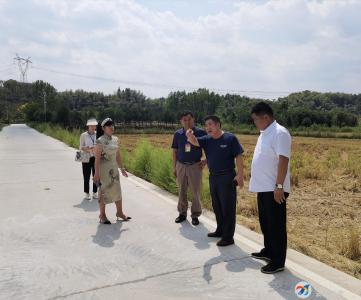 汀泗桥镇：“两代表一委员”共评农村公路管养工作