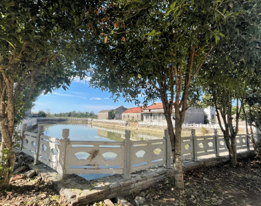 双溪桥镇三桥村：群众齐参与 村湾展新颜