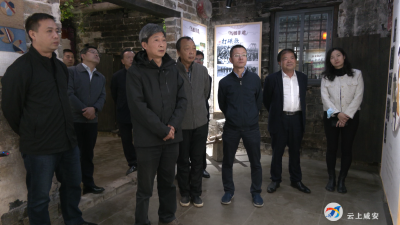 高翅一行来咸安调研