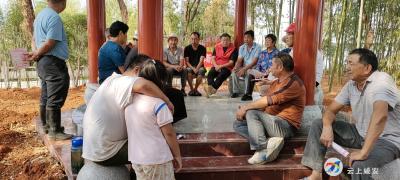 向阳湖镇绿山村：议事亭话民生，破解乡村治理难题