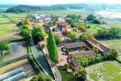 （长江云）高桥镇黄安吉：共建美好家园 缔造幸福生活