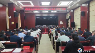 李军平在区生态环境保护委员会2022年全体（扩大）会议上强调：凝神聚力 攻坚突破 高标准高质量做好生态环保工作