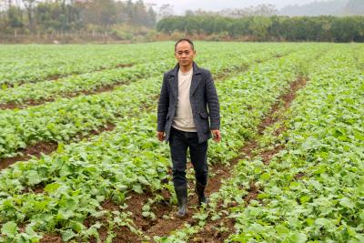 （长江云）潘名建：忙碌于田间地头的“老黄牛”