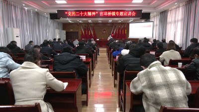 区领导赴官埠桥镇专题宣讲党的二十大精神