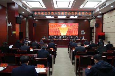 中共咸安区委六届委员会四次全体会议举行