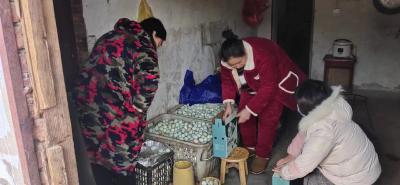 干部变身“销售员”，牵线搭桥卖鸡蛋