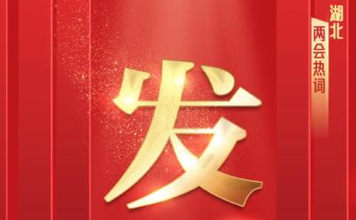 互动SVG丨湖北两会热词，你get到了吗？