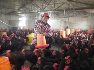 【基层人物】涂预文：坚持养鸡十八年 完成“四件”人生大事