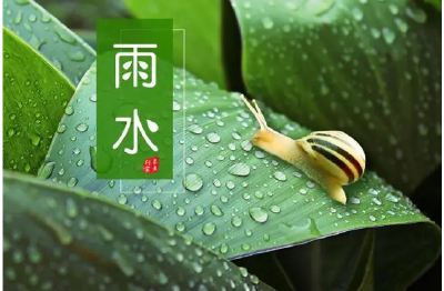 雨水节气，一起科学养生
