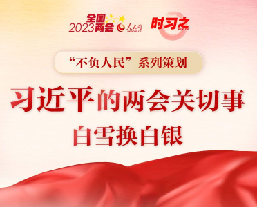 ​习近平的两会时间｜两会关切事——白雪换白银