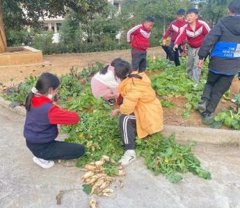 将课堂搬到“田间地头”！学生直呼，就是不一样