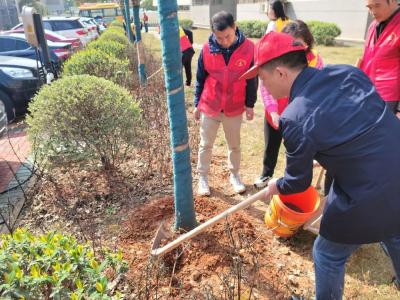 金叶社区：认养一颗树 共享一个家