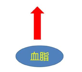 辅助调节血脂，这6种食材不要错过！