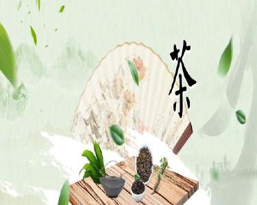 测试11