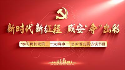 
《共话党的二十大· 一把手谈发展》访谈栏目——向阳湖镇党委书记陈伟
