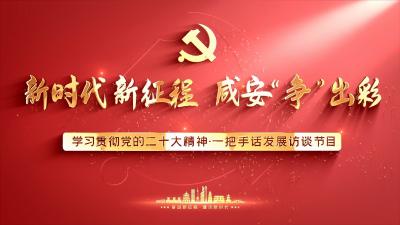 《共话党的二十大· 一把手谈发展》访谈栏目——官埠桥镇党委书记张文彬