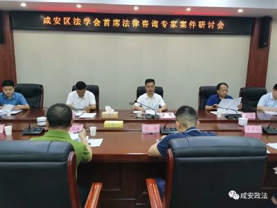 咸安区首席法律咨询专家为涉稳疑难案件把脉会诊咸安政法