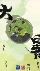 国宝画重点丨何以消烦暑，画中有清风
