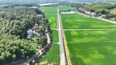 熊荣华：砥砺“三心”奏响乡村振兴曲