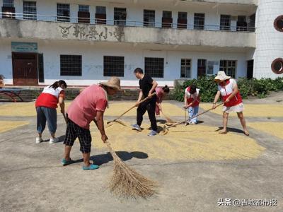 咸安：志愿助农忙 金秋好“丰”景