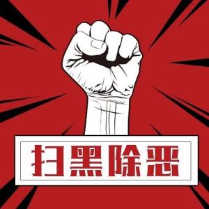 主犯获刑二十二年！咸安区法院宣判沈文术等十五人涉黑案