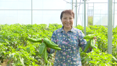 “杨堡辣”重出江湖奏响乡村振兴“椒”响曲