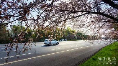 30余年提档升级不停步！咸安聚全区之力共筑“幸福路”