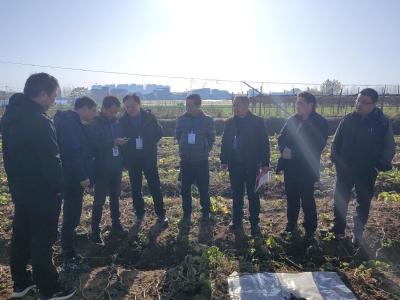 省级质控专家来咸安督察“三普”外业调查与采样质控工作