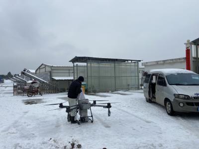 战寒潮、保生产，区农业农村局开展除雪救灾降损行动