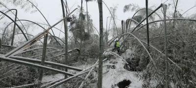 以雪为令-咸安铁塔千方百计保通信畅通