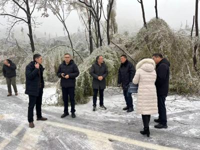 三军用命，三级协同，铁塔全力抗冻保通信