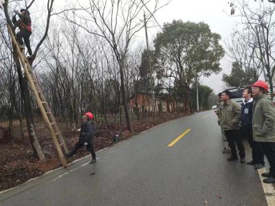 双溪桥镇：未“雪”绸缪保平安