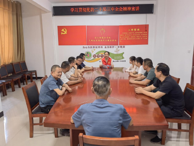 浮山街道大畈社区学习贯彻党的二十届三中全会精神