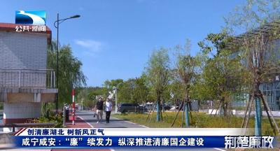 创清廉湖北 树新风正气 | 咸宁咸安：“廉”续发力纵深推进清廉国企建设